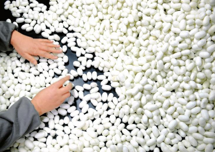 公司视频 - 四川南充首创科技开发有限公司