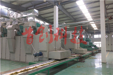 1499486653972776.jpg 浙江金银花烘干2.jpg