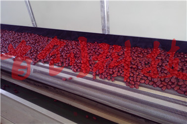 1516757704311483.jpg 红枣2.jpg