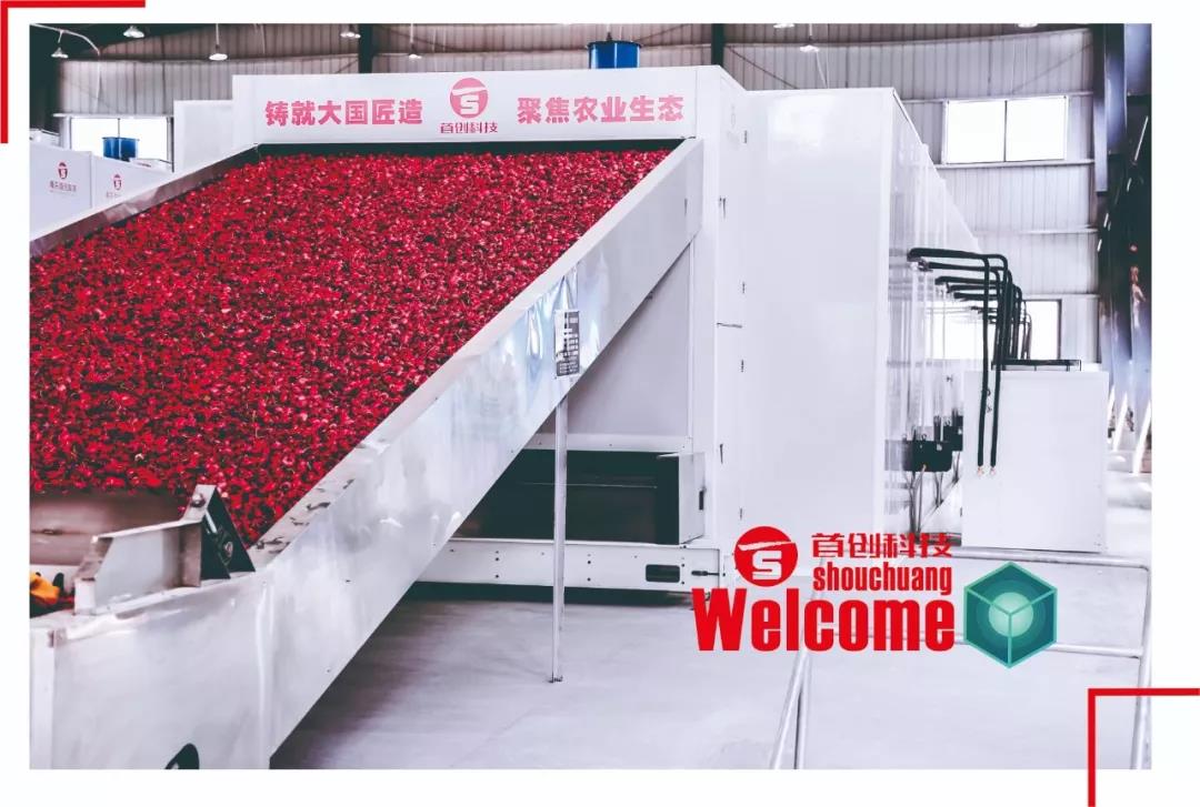 1575594421392510.jpg 微信图片_20191206090340.jpg