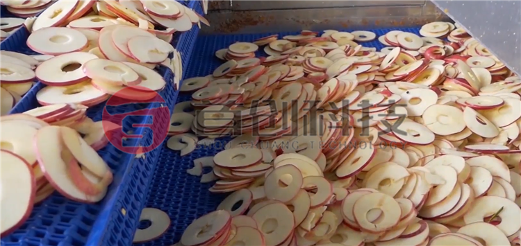 苹果片烘干设备.png 苹果片烘干设备.png