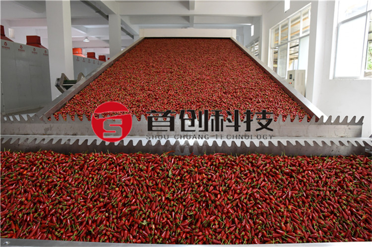 网带式辣椒烘干机.jpg