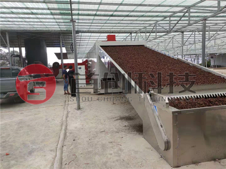 网带式吴茱萸干燥设备.jpg