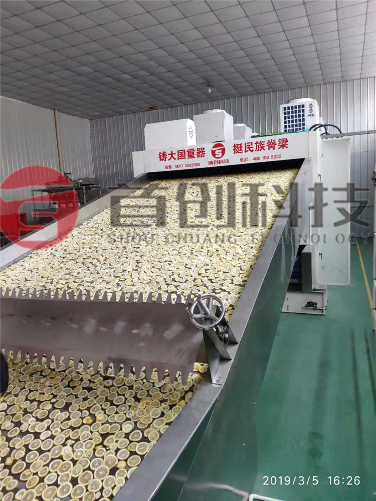 网带柠檬片加工设备.jpg
