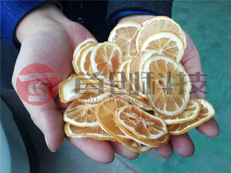 全自动柠檬片烘干设备价格.jpg