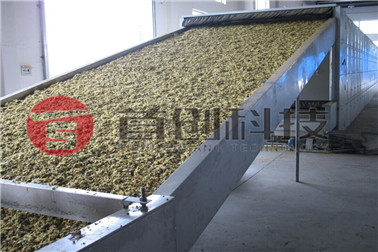 1682323894829649.jpg mtxx369.jpg