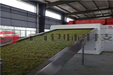 1683525157383989.jpg 金银花 (2)_副本.jpg