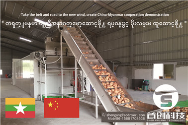 魔芋切片烘干一体机 魔芋切片烘干一体机