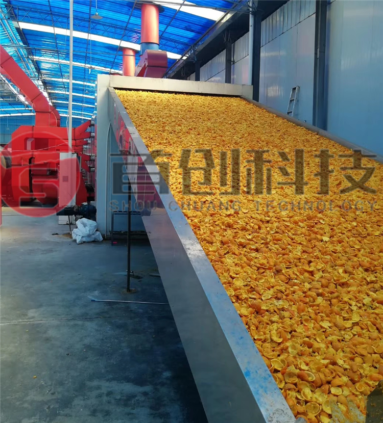 网带式果渣干燥设备.png