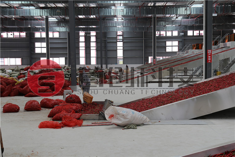 网带式辣椒烘干机.jpg