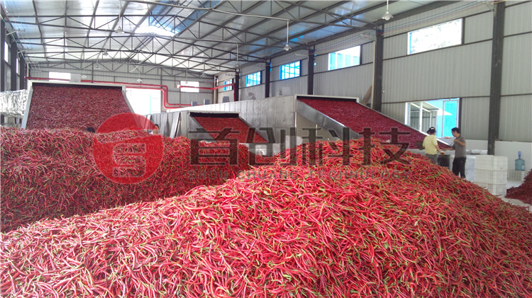 大型辣椒烘干设备.jpg