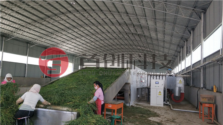 网带式牧草烘干设备.jpg
