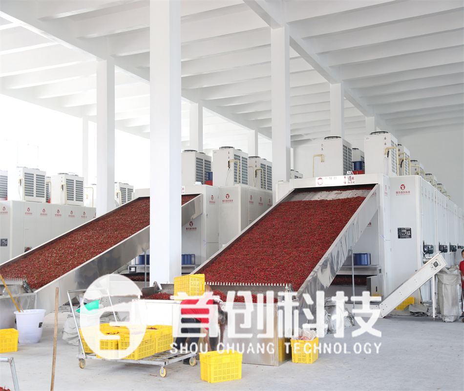 网带式辣椒烘干设备.jpg