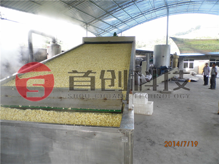 多功能皂角米干燥机.jpg