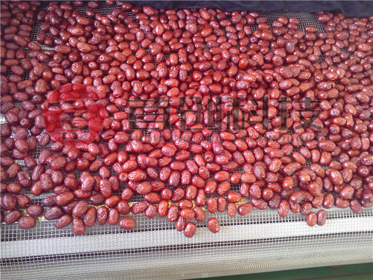 红枣专业烘干设备.jpg 红枣专业烘干设备.jpg