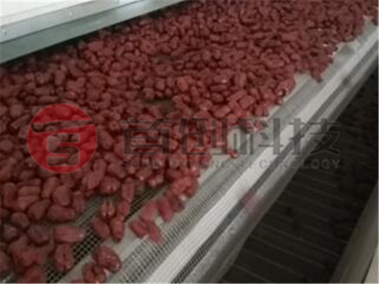 网带式红枣干燥机.jpg 网带式红枣干燥机.jpg