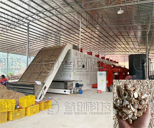 网带式山柰烘干机.png 网带式山柰烘干机.png