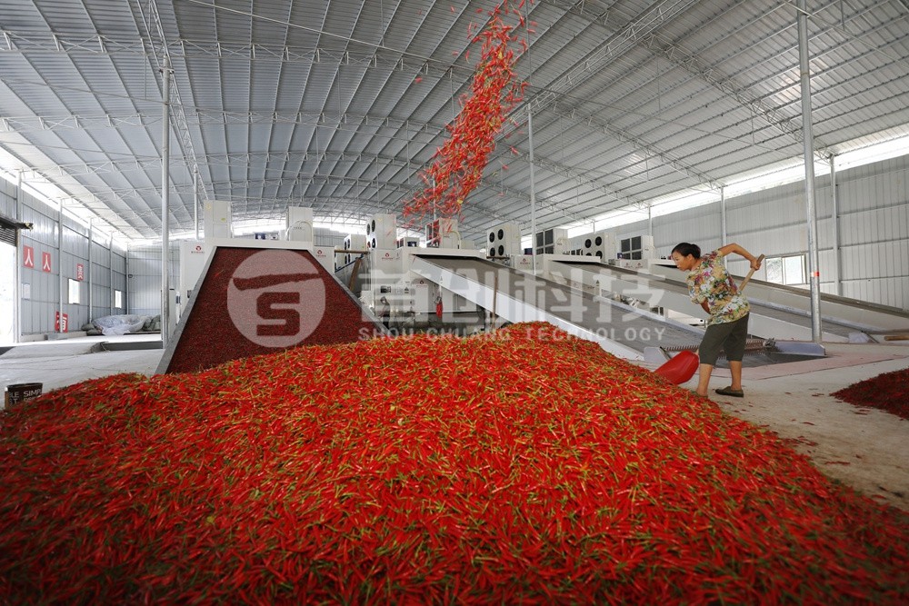 鲜辣椒烘干定制生产线设备.jpg 鲜辣椒烘干定制生产线设备.jpg