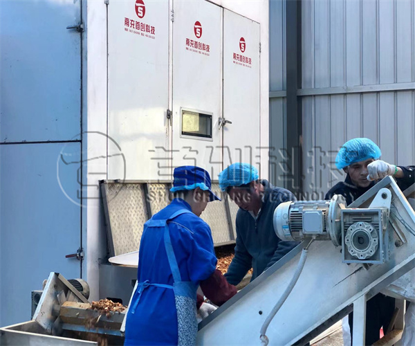 橘渣烘干机厂家.jpg