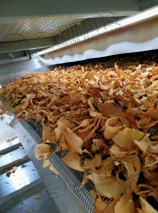 网带式魔芋烘干设备.png