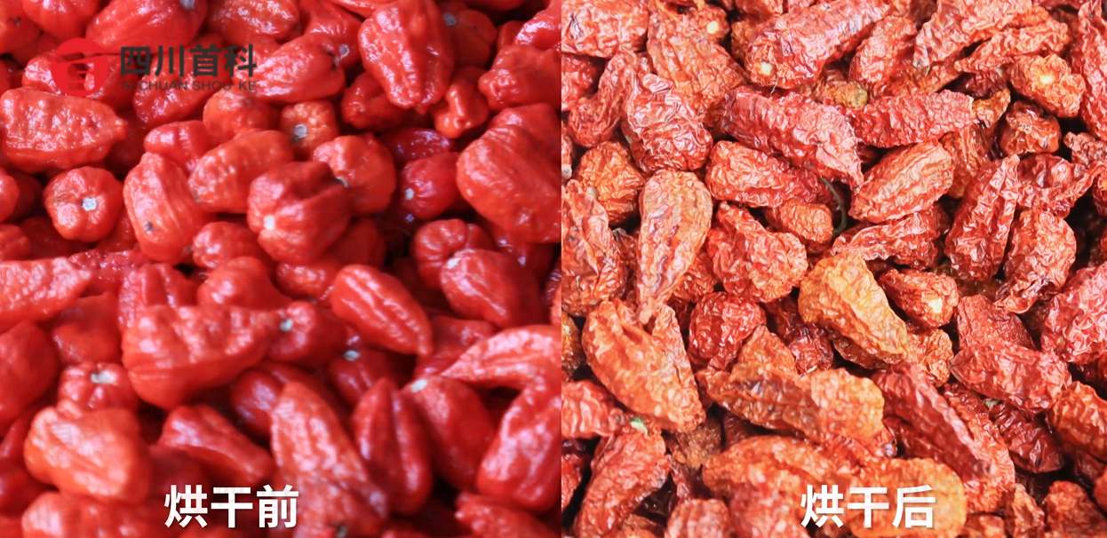 1726121779512703.jpg 1726109539863_副本.jpg