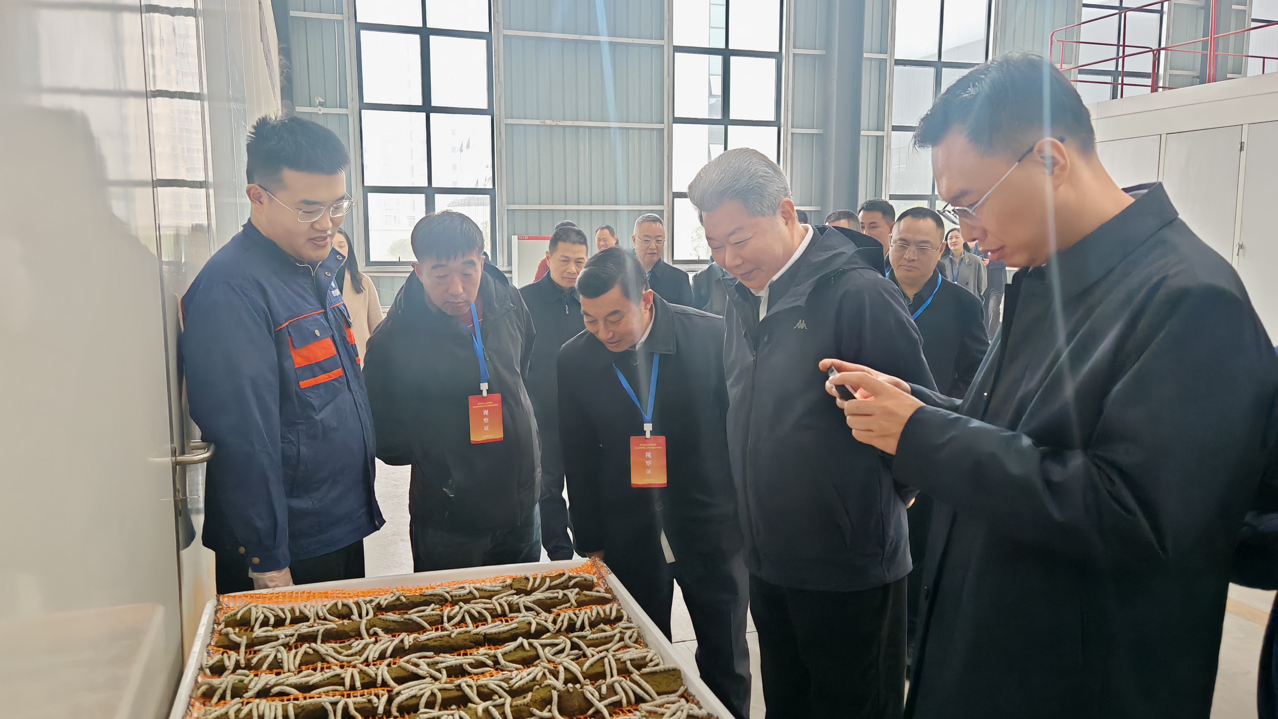 1764818219448070.jpg IMG_20251202_103443.jpg