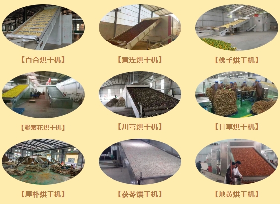 1769666423423064.jpg 4d0b1158-5640-49a8-b792-84757e01f8c6.jpg